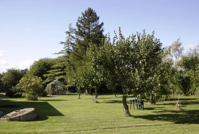 A view across the orchard